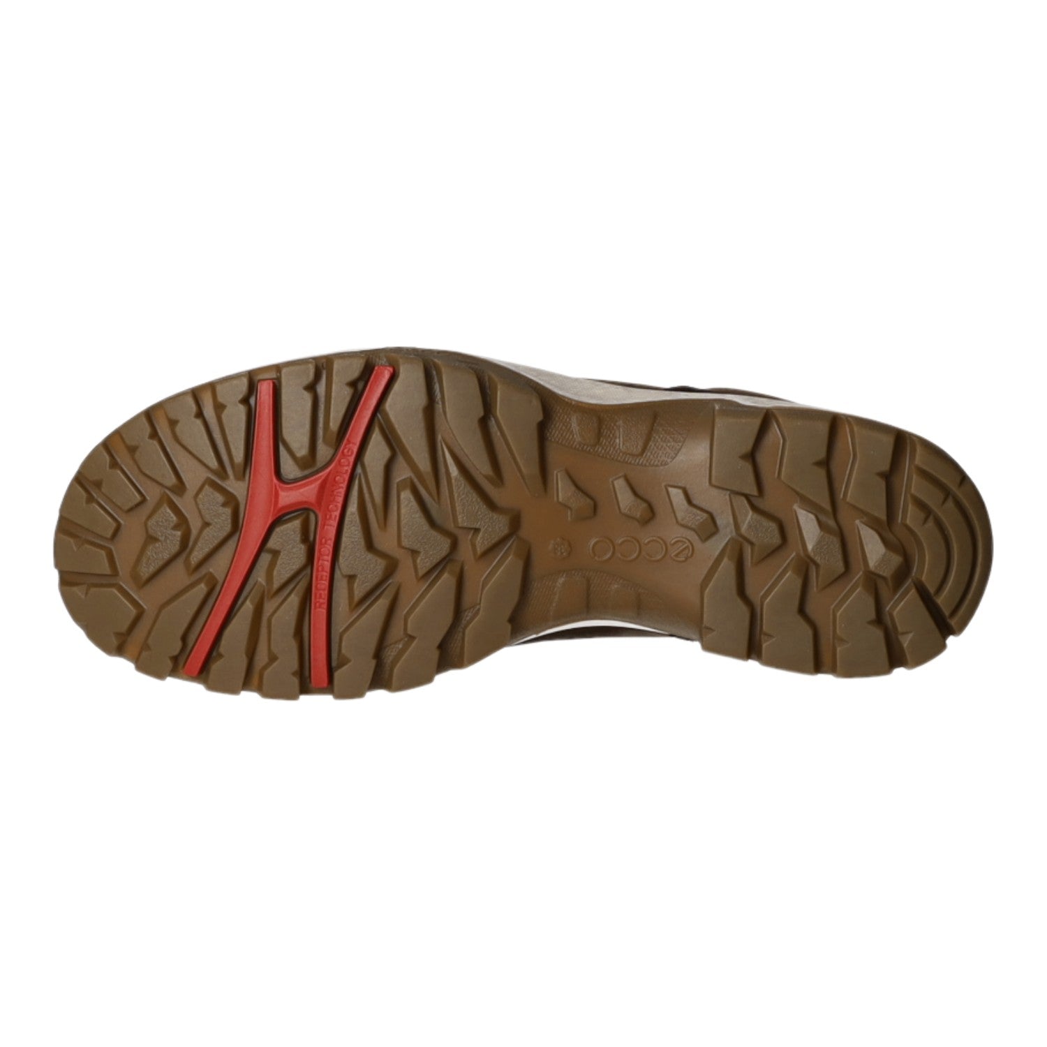 ecco Schnürstiefelette Kaltfutter bis 35mm Absatz (casual) ECCO XPEDITION III W